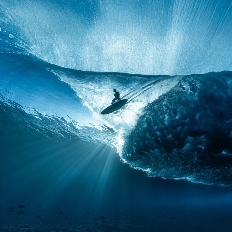 Int. OCEAN FILM TOUR Vol. 12